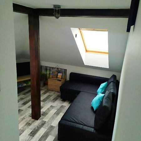 Apartmán Podkrovní apartmán v přírodě, vhodný k relaxaci i na služební cesty Cerna u Bohdance Exteriér fotografie