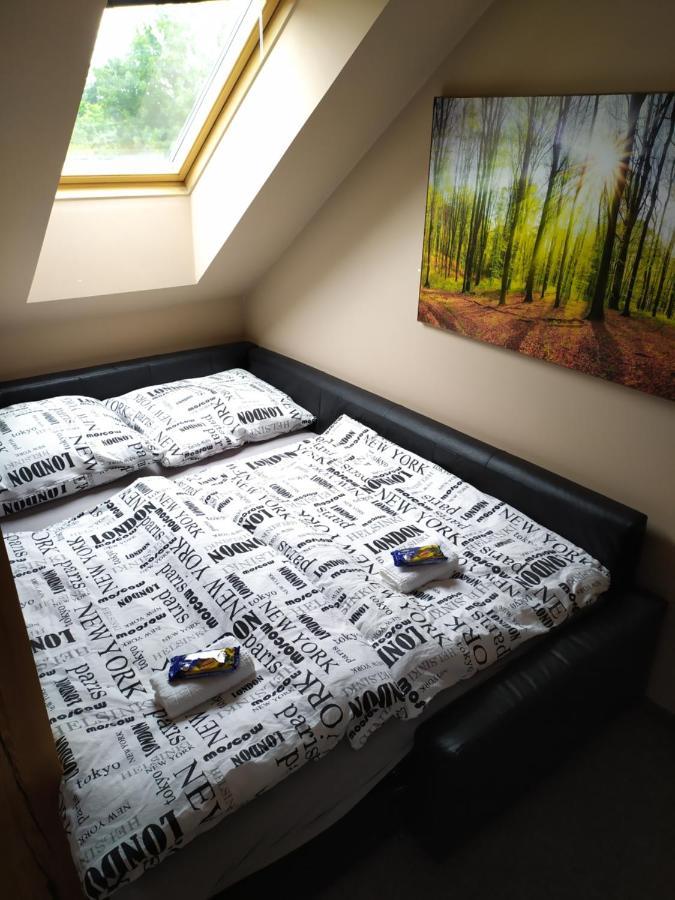 Apartmán Podkrovní apartmán v přírodě, vhodný k relaxaci i na služební cesty Cerna u Bohdance Exteriér fotografie