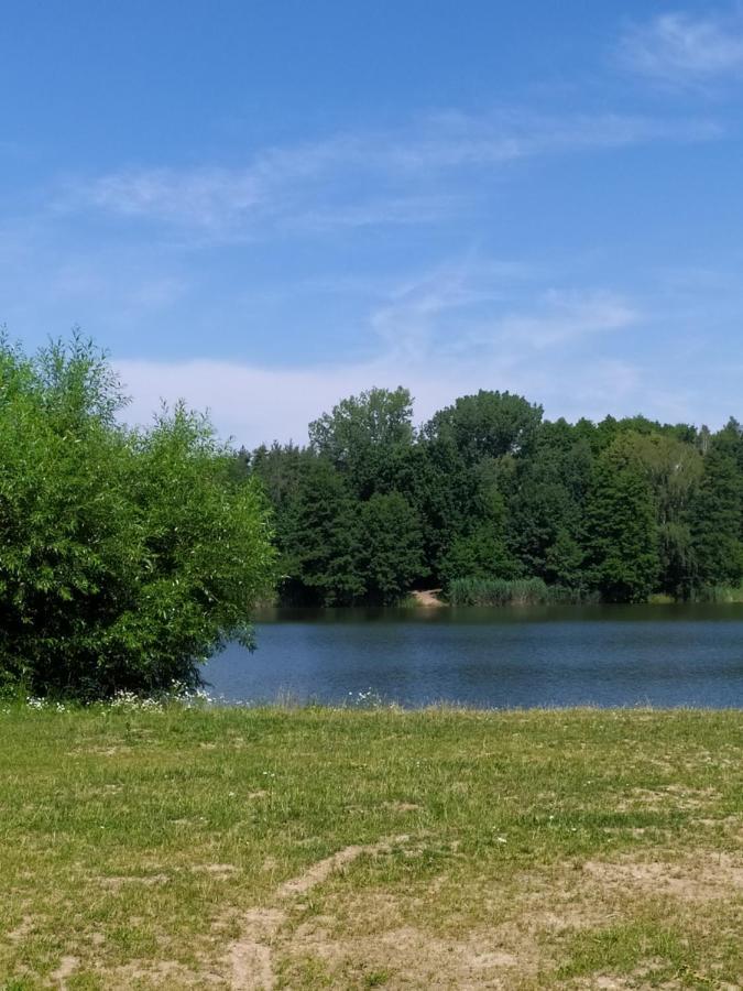 Apartmán Podkrovní apartmán v přírodě, vhodný k relaxaci i na služební cesty Cerna u Bohdance Exteriér fotografie