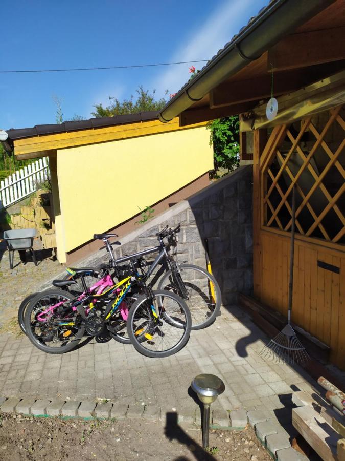 Apartmán Podkrovní apartmán v přírodě, vhodný k relaxaci i na služební cesty Cerna u Bohdance Exteriér fotografie