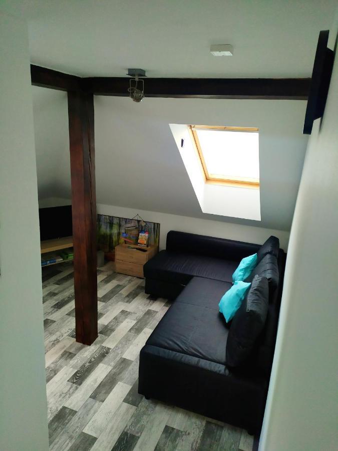 Apartmán Podkrovní apartmán v přírodě, vhodný k relaxaci i na služební cesty Cerna u Bohdance Exteriér fotografie