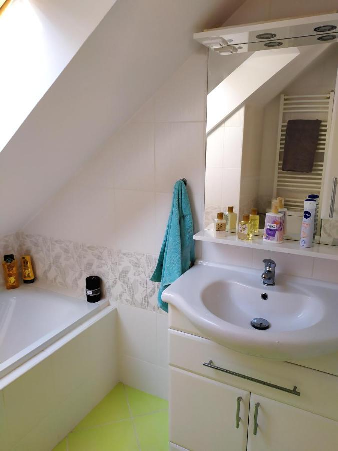 Apartmán Podkrovní apartmán v přírodě, vhodný k relaxaci i na služební cesty Cerna u Bohdance Exteriér fotografie