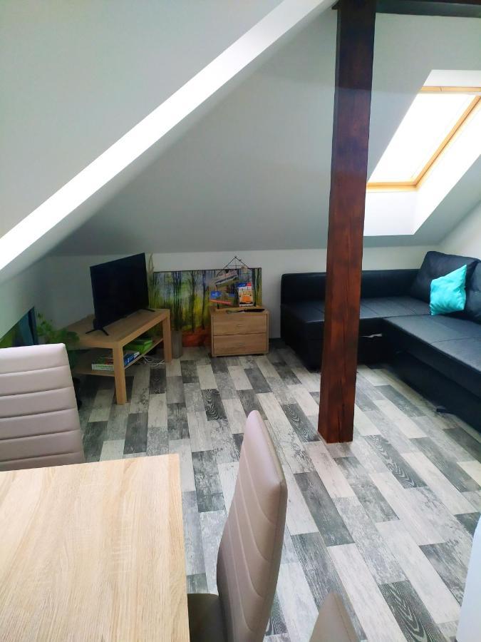 Apartmán Podkrovní apartmán v přírodě, vhodný k relaxaci i na služební cesty Cerna u Bohdance Exteriér fotografie