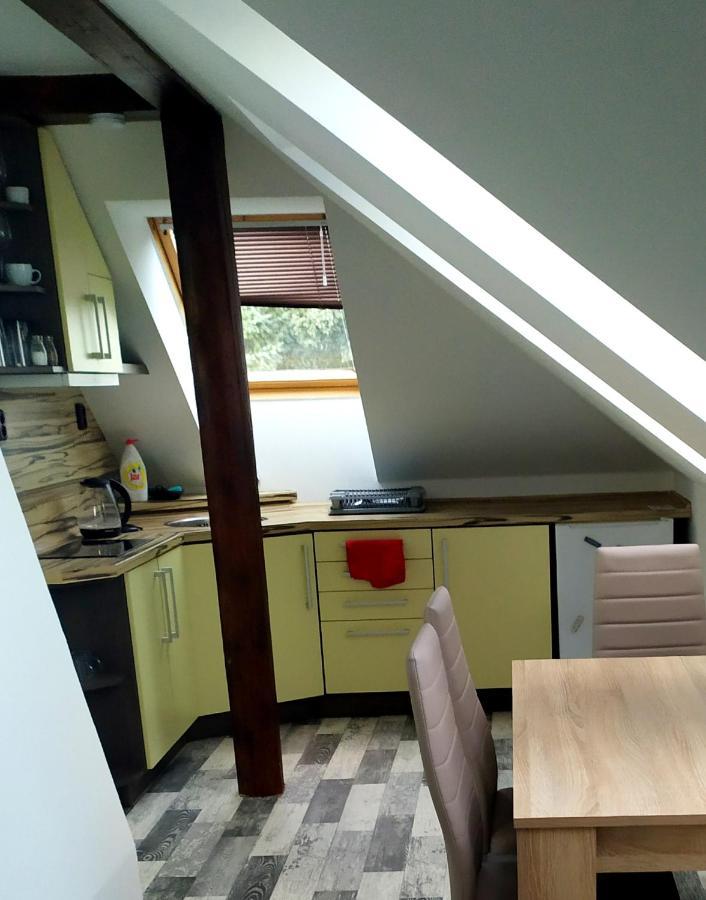 Apartmán Podkrovní apartmán v přírodě, vhodný k relaxaci i na služební cesty Cerna u Bohdance Exteriér fotografie